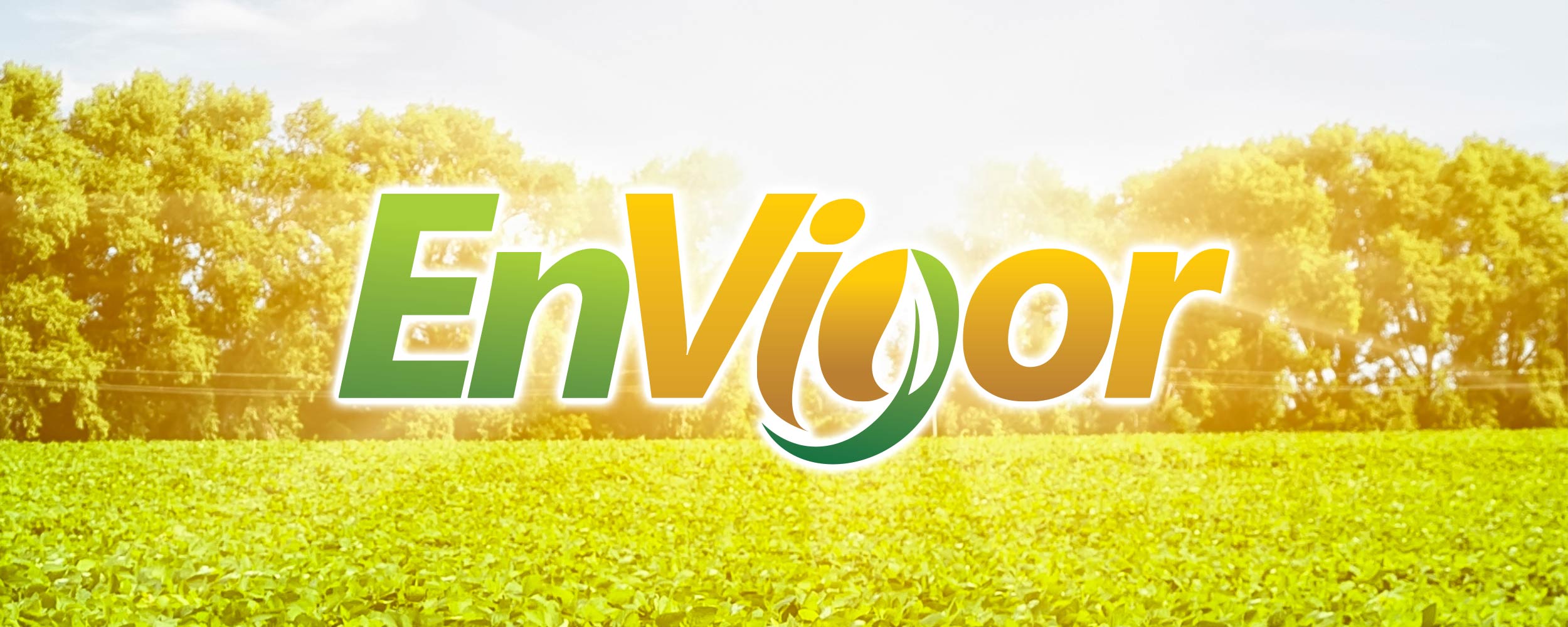 EnVigor Banner