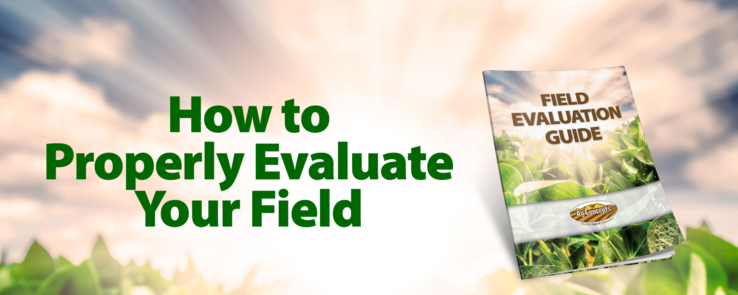 How to Evaluate Your Field Banner