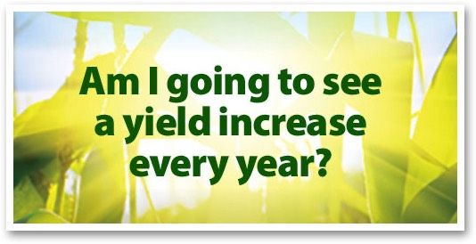 Am I going to see a yield increase every year?