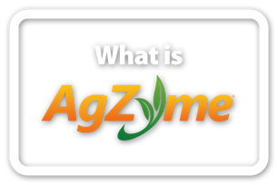 What is AgZyme?