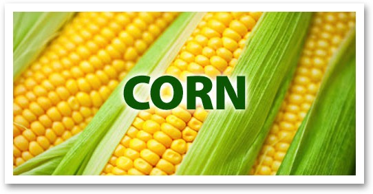 Corn